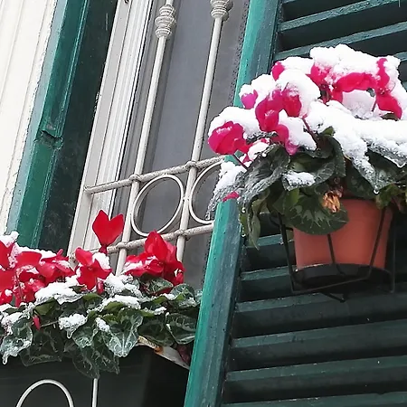 Via Umberto Apartmán